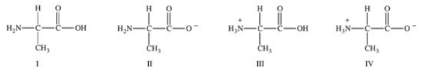Consider the following forms of the amino acid alanine (Ala) .Which statement concerning these structures is FALSE?   A) Structure I represents the form of Ala present in the blood at physiological pH. B) Structure II represents the form of Ala present in the basic environment of the intestines. C) Structure III represents the form of Ala present in the acidic environment of the stomach. D) Structure IV represents the zwitterion of Ala. E) None of the statements are false.