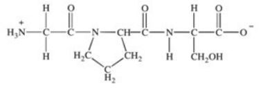 Which of the statements concerning the peptide shown below is FALSE?   A) It is a tripeptide. B) Its primary structure is Gly-Pro-Ser. C) There are two peptide bonds. D) The carboxyl group of Pro is joined to the amino group of Ser. E) The peptide contains only hydrophobic amino acid residues.