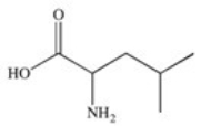 <strong>2-Amino-4-methylpentanoic acid (common name leucine)is an essential amino acid found in the proteins of the human body.Which of the following properly represents the structure of this compound?</strong> A) B) C) D) E)