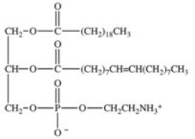 The structure of a phosphoglyceride is shown below.Phosphoglycerides can interact with both water and other lipids,and are therefore well suited for their role in the lipid bilayer of cell membranes.Which of the following best explains this behavior?   A) Phosphoglycerides contain a phosphate diester. B) Phosphoglycerides contain both hydrophobic and hydrophilic regions. C) Phosphoglycerides contain saturated fatty acids as well as unsaturated fatty acids. D) Phosphoglycerides contain both single bonds and double bonds between carbons. E) Phosphoglycerides contain omega-3 and omega-6 fatty acids.