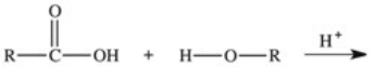What two products are formed in the reaction between a fatty acid and an alcohol?   A) ester and hydrogen B) ester and water C) ether and water D) ether and hydrogen E) hydrogen and alkane