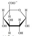 The monosaccharide derivative shown below bonds to hydrophobic molecules in the liver.What effect does this have on the molecule to which it binds?   A) It increases the hydrophobicity of the molecule,making it more soluble in fatty tissues. B) It increases the polarity of the molecule,making it more soluble in bodily fluids,and more readily removed. C) It eliminates the ability of the molecule to act as a nutritional source of energy. D) It decreases the polarity of the hydrophobic molecule,allowing it to be retained in the body longer. E) It increases the nutritional value of the molecule by allowing it to be retained by the body longer.