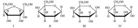 Monosaccharides exist predominantly as cyclic hemiacetals.Cyclic hemiacetals have both an α and a β form.Which of the following monosaccharides are shown in the β form?   A) III only B) IV only C) I and III D) II and IV E) All are shown in the β form.