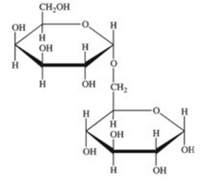 Melibiose is a carbohydrate found in some plant juices.Which of the following statements concerning melibiose is INCORRECT?   A) It is a disaccharide. B) It is composed of two different monosaccharide units. C) It contains both an acetal and a hemiacetal. D) It contains an α(1→5) glycosidic linkage. E) It is a reducing sugar.