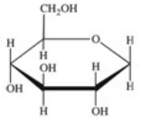 <strong>Gentobiose,a rare disaccharide found in saffron,produces two identical monosaccharides when it undergoes hydrolysis.What is the structure of the monosaccharide hydrolysis product? </strong> A) B) C) D) E)None of these are correct.