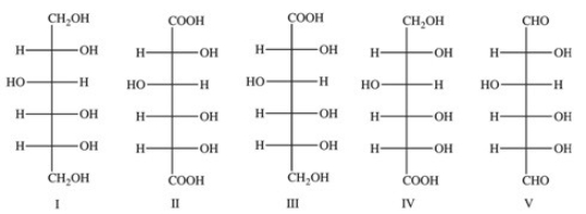 Aldaric acids are a type of monosaccharide derivative,formed when both the aldehyde group and the terminal -CH<sub>2</sub>OH group of a monosaccharide are oxidized to carboxylic acids.D-Glucaric acid is the aldaric acid derivative of D-glucose.What is the structure of D-glucaric acid?   A) I B) II C) III D) IV E) V