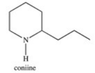 Socrates used coniine,an alkaloid extracted from the poison hemlock plant,to end his life.How is this nitrogen-containing compound best classified?   A) cyclic amide B) primary amine,aromatic amine C) secondary amine,heterocyclic amine D) tertiary amine E) lactam