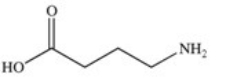 <strong>4-Amino butanoic acid (common name GABA)is a neurotransmitter found in the brain's nerve cells.Which of the following properly represents the structure of this compound?</strong> A) B) C) D) E)