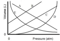 In the graph shown,which line is the best representation of Boyle's Law regarding behavior of a gas?   A) A B) B C) C D) D E) E