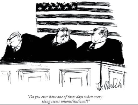   Credit: Joseph Mirachi/The New Yorker Collection/The Cartoon Bank -Which of the following limits the power to which the cartoonist alludes? A) judicial review B) judicial activism -Consider This: Judicial activism is a means for judges to advance policy from the bench.The principle in question encourages deference to previous cases,making the current judge's role appear less consequential. C) stare decisis D) life tenure