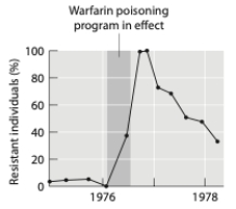 The graph below depicts the rise in resistance to warfarin in a rat population. Notice that after reaching a peak of 100% resistance, resistance in the population declined. Please provide a plausible evolutionary explanation for this.  