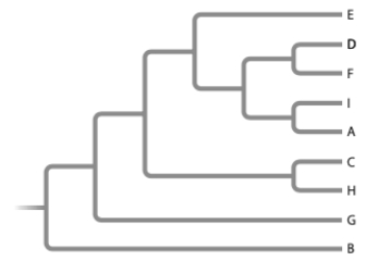 Given the following tree, which tree below is incorrect?   ​   ​ A)  (a)  B)  (b)  C)  (c)  D)  (d) 