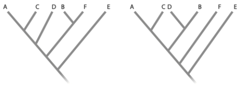  You are using maximum parsimony to determine the relationships among six species (A, B, C, D, E, and F). You examine eight different traits for the six species and an outgroup. Below you will find the data matrix.  \begin{array}{ccccccc} &&&&\text { Trait }\\ \hline \text { Species }& 1 & 2 & 3 & 4 & 5 & 6 & 7 & 8 \\ \hline  \text { A } & 1 & 0 & 1 & 1 & 1 & 0 & 0 & 1 \\ \text { B } & 0 & 1 & 1 & 1 & 0 & 0 & 1 & 1 \\ \text { C } & 1 & 0 & 1 & 1 & 1 & 0 & 0 & 1 \\ \text { D } & 0 & 0 & 1 & 1 & 1 & 1 & 0 & 1 \\ \text { E } & 0 & 0 & 0 & 1 & 0 & 0 & 0 & 0 \end{array}  (a) Which traits are not useful for distinguishing relationships among species A, B, C, D, E, and F? (b) Given below are two possible tree topologies for these species. Based on the principle of maximum parsimony, circle the tree that most likely represents the true relationships among these species. Please show your work (that is, map the traits with tick marks onto each tree, and beside each tick mark give the number of the trait). Please include all traits, even those you determined were not useful in part (a).   