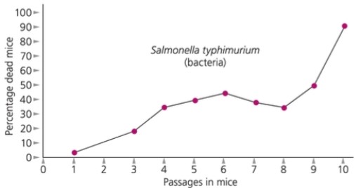 The line in the following graph shows that over time   A)  mice become less susceptible to disease. B)  mice become more susceptible to disease. C)  bacteria evolve from low to high virulence. D)  bacteria evolve from high to low virulence.
