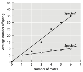 The graph below shows the reproductive success for males of two different species as a function of the number of mates they obtain. For which species would you expect sexual selection on males to be stronger?   A)  species 2; males of species 2 are expected to compete less strongly over access to females B)  species 1; males of species 1 are expected to compete less over access to females C)  species 2; males of species 2 are expected to compete more strongly over access to females D)  species 1; males of species 1 are expected to compete more strongly over access to females