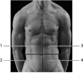   Photo Credit: Custom Medical Stock Photo, Inc. Figure 1-4 Abdominopelvic Quadrants Use Figure 1-4 to answer the following questions: -Tenderness in which region(s) may be an indication of gallbladder or liver problems? A) 2 B) 4 C) 1 D) 3 & 4 E) 3