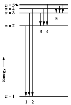   In the energy-level diagram, the line that corresponds to the longest wavelength in the Balmer series is A)  1. B)  2. C)  3. D)  4. E)  5.