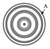  The interference pattern is from a convex lens placed on a flat reflecting surface using a monochromatic light of wavelength λ = 550 nm. The distance between the lens and the flat surface at position A is A)  275 nm. B)  550 nm. C)  687.5 nm. D)  825 nm. E)  962.5 nm.