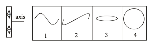   The left part of the figure shows a dipole oscillating in a sinusoidal function. Which of the curves best represents the electric field along the axis of the dipole? A)  1 - sinusoidal wave in the plane of the dipole B)  2 - sinusoidal wave perpendicular to the plane of the dipole C)  3 - circular wave perpendicular to the plane of the dipole D)  4 - circular wave in the plane of the dipole E)  None of these is correct.