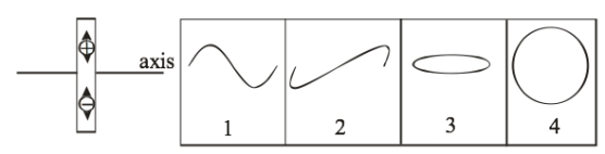   The left part of the figure shows a dipole oscillating in a sinusoidal function. Which of the curves best represents the magnetic field along the axis of the dipole centered about the dipole? A)  1 - sinusoidal wave in the plane of the dipole B)  2 - sinusoidal wave perpendicular to the plane of the dipole C)  3 - circular wave perpendicular to the plane of the dipole; the intensity propagates in a sinusoidal function D)  4 - circular wave in the plane of the dipole.; the intensity propagates in a sinusoidal function E)  None of these is correct.