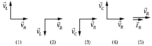  The diagram that correctly represents the phase relationship between the voltage across the resistor and the voltage across the inductor in a circuit containing an inductor L, a capacitor C, and a resistor R all connected in series is A)  1) . B)  2) . C)  3) . D)  4) . E)  5) .