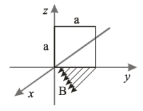   A square loop of sides  a  lies in the yz plane with one corner at the origin. A varying magnetic field B = k<sub>y</sub>. points in the positive x direction and passes through the loop k is a constant) . The magnetic flux through the loop is A)  ka<sup>2</sup>. B)  ka<sup>2</sup>/2. C)  ka<sup>3</sup>/2. D)  ka<sup>3</sup>/3. E)  None of these is correct.