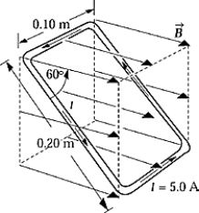  A rectangular loop of wire 0.10 m by 0.20 m)  carries a current of 5.0 A in a counterclockwise direction. The loop is oriented as shown in a uniform magnetic field of 1.5 T. The magnitude of the torque acting on the loop is A)  15 x 10<sup>-2</sup> N . m. B)  75 x 10<sup>-2</sup> N . m. C)  50 x 10<sup>-2</sup> N . m. D)  13 x 10<sup>-2</sup> N. E)  7.5 x 10<sup>-2</sup> N . m.