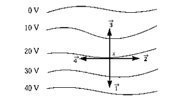   The vector that best represents the direction of the electric field intensity at point x on the 20-V equipotential line is A)  1. B)  2. C)  3. D)  4. E)  None of these is correct.