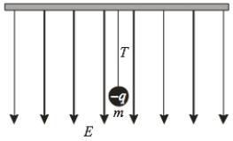   A conducting sphere has a net charge of -q and of mass m is suspended from the ceiling by a light string. A uniform electric field E is applied vertical down on the sphere.If m = 1 g, q = 1 μC, and E = 5000 N/C, the tension T in the string is A)  5 × 10<sup>-3</sup> N. B)  9.81 × 10<sup>-3</sup> N. C)  4.81 × 10<sup>-3</sup> N. D)  1.48 × 10<sup>-2</sup> N. E)  0.