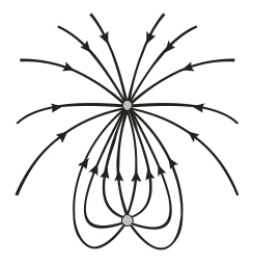   The figure shows the field lines for two charges. What is the ratio of the top charge to the bottom charge? A)  1:2 B)  -1:2 C)  2:1 D)  -2:1 E)  2: -1