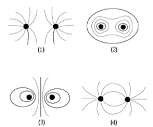   An electric dipole consists of a positive charge separated from a negative charge of the same magnitude by a small distance. Which, if any, of the diagrams best represents the electric field lines around an electric dipole? A)  1 B)  2 C)  3 D)  4 E)  None of these is correct.