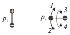   Two electric dipoles, p<sub>1</sub> and p<sub>2</sub>, are arranged as shown. The first dipole is not free to rotate but the second dipole can rotate in any direction. Which way will p<sub>2</sub> rotate? The directions represent the following: 1 - clockwise, 2 - counterclockwise, 3 - rotate about axis of the dipole rolling up, and 4 - rotate about axis of the dipole rolling down. A)  1 B)  2 C)  3 D)  4 E)  None of these is correct.