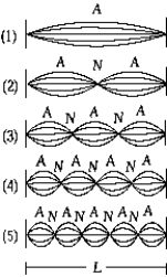   The figure represents a string of length L, fixed at both ends, vibrating in several harmonics. The 4th harmonic is shown in A)  1) . B)  2) . C)  3) . D)  4) . E)  5) .