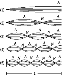   The figure represents a wire of length L, fixed at both ends, vibrating in several harmonics. The 7th harmonic is shown in A)  1) . B)  2) . C)  3) . D)  4) . E)  5) .