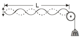   A string of linear density μ and length L is under a constant tension T = mg. One end of the string is attached to a tunable harmonic oscillator. A resonant standing wave is observed A)  at any frequency. B)  when the frequency   where n = 1, 2, 3, ... C)  when the frequency   where n = 1, 2, 3, ... D)  when the frequency   where n = 1, 2, 3, ...and v<sub>s</sub> is the speed of sound. E)  unable to tell.