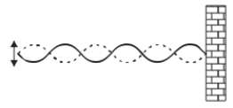   A standing wave is created by oscillating a taut string at a frequency that corresponds to one of the resonant frequencies. The amplitude of the antinodes is very much larger than the amplitude of the oscillator. Does this violate the conservation of energy principle? Explain why. A)  Yes, since E is proportional to amplitude squared. B)  Yes, since there is large kinetic energy of the string, and this is much bigger than the energy from the oscillator. C)  No, energy from waves does not obey the conservation of energy principle in the first place. D)  No, the energy at the antinodes builds up after the first few cycles, after which the dissipation due to friction equals the energy supplied by the oscillator. E)  Whether it obeys the conservation of energy principle depends on the tension in the string.