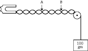   In a vibrating-string experiment, three loops are observed between points A and B when the mass on one end of the string is 100 g. The number of loops between A and B can be changed to two by replacing the 100-g mass with a mass of A)  150 g. B)  225 g. C)  44.4 g. D)  66.7 g. E)  300 g.