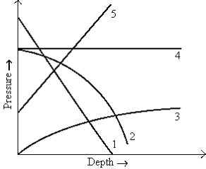   Which curve best represents the variation in pressure with depth in a fluid, assuming constant density? A)  1 B)  2 C)  3 D)  4 E)  5