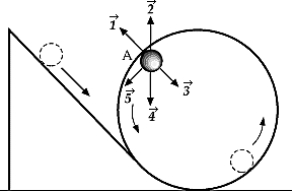   The ball shown in the figure will loop-the-loop if it starts from a point high enough on the incline. When the ball is at point A, the centripetal force on it is best represented by which of the following vectors? A)    B)    C)    D)    E)   