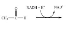 The reduction of acetaldehyde,shown below,is the last step in the fermentation process. What is the product of the reduction of acetaldehyde?   A)    B)    C)    D)   