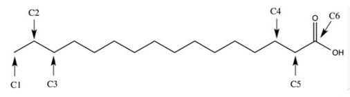 On the fatty acid structure below,identify which carbons are alpha (α) and beta (β) ,two important positions in the β-oxidation process.   A) C1 is alpha and C2 is beta B) C3 is alpha and C2 is beta C) C6 is alpha and C5 is beta D) C5 is alpha and C4 is beta E) C4 is alpha and C5 is beta