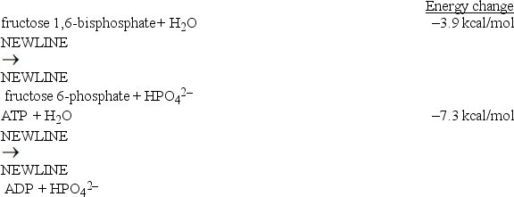 Considering the energy changes associated with the two individual reactions below,what coupled reaction is an energetically favorable one?   A) Fructose 1,6-bisphosphate + H<sub>2</sub>O   fructose 6-phosphate + HPO<sub>4</sub><sup>2-</sup> B) ADP + fructose 1,6-bisphosphate   ATP + fructose 6-phosphate C) ATP + H<sub>2</sub>O   ADP + HPO<sub>4</sub><sup>2-</sup> D) ADP + fructose 6-phosphate   ATP + fructose 1,6-bisphosphate E) ATP + fructose 6-phosphate   ADP + fructose 1,6-bisphosphate