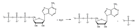 The reaction shown below requires the overall input of energy.  