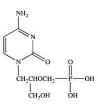 Cidofovir (structure shown)is an antiviral medication for the treatment of cytomegalovirus (CMV)retinitis in patients with AIDS that suppresses CMV replication by selective inhibition of viral DNA synthesis. Cidofovir contains the nucleoside cytidine.  