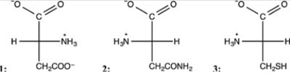 Which Fischer projections represent naturally-occurring amino acids?   A) Only structure 1 B) Only structure 2 C) Structures 1,2,and 3 D) Structures 2 and 3