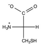 What is the name of the amino acid shown below?   A) L-cysteine B) D-cysteine C) L-serine D) D-serine