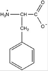 What is the structure of the amino acid phenylalanine at pH 1? A)    B)    C)    D)   