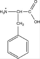 What is the structure of the amino acid phenylalanine at pH 1? A)    B)    C)    D)   
