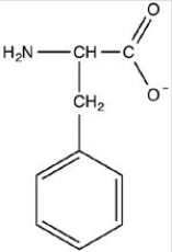 What is the structure of the amino acid phenylalanine at pH 1? A)    B)    C)    D)   