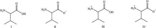 Consider the following forms of the amino acid valine (Val) . Which statement concerning these structures is false?   A) Structure I represents the form of Val present in blood at physiological pH. B) Structure II represents the form of Val present in the basic environment of the intestines. C) Structure III represents the form of Val present in the acidic environment of the stomach. D) Structure IV represents the zwitterions of Val.